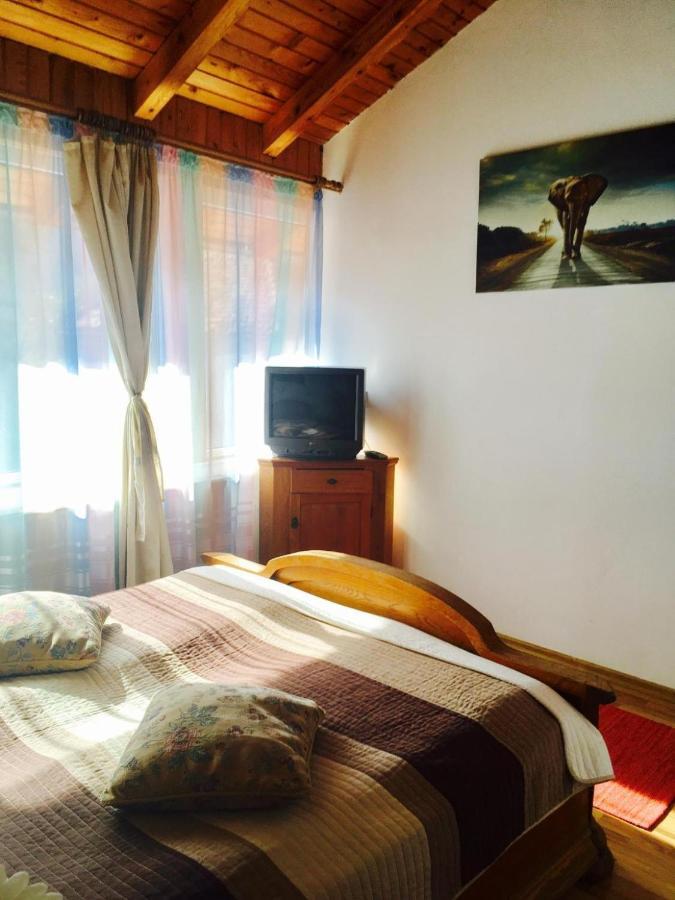 Rolling Stone Hostel Μπρασόβ Εξωτερικό φωτογραφία